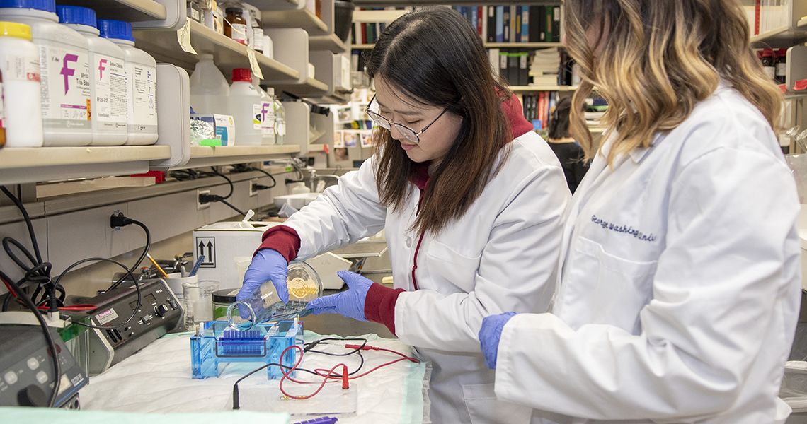 two students in a lab